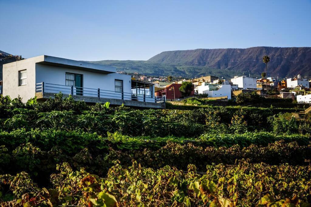 Finca Maranuela La Perdoma エクステリア 写真