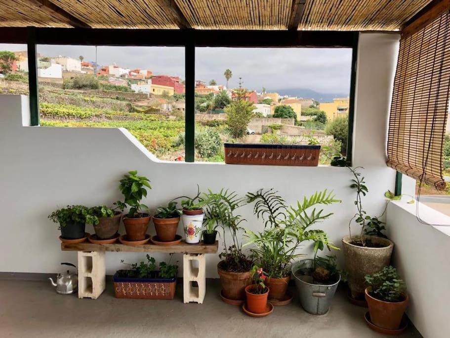 Finca Maranuela La Perdoma エクステリア 写真