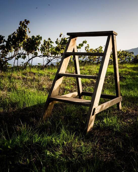 Finca Maranuela La Perdoma エクステリア 写真