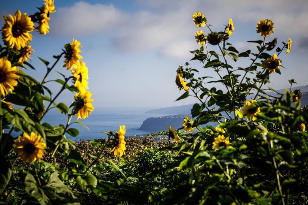Finca Maranuela La Perdoma エクステリア 写真